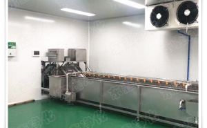潔凈無塵室工程有哪些應(yīng)用？【東鑫凈化】